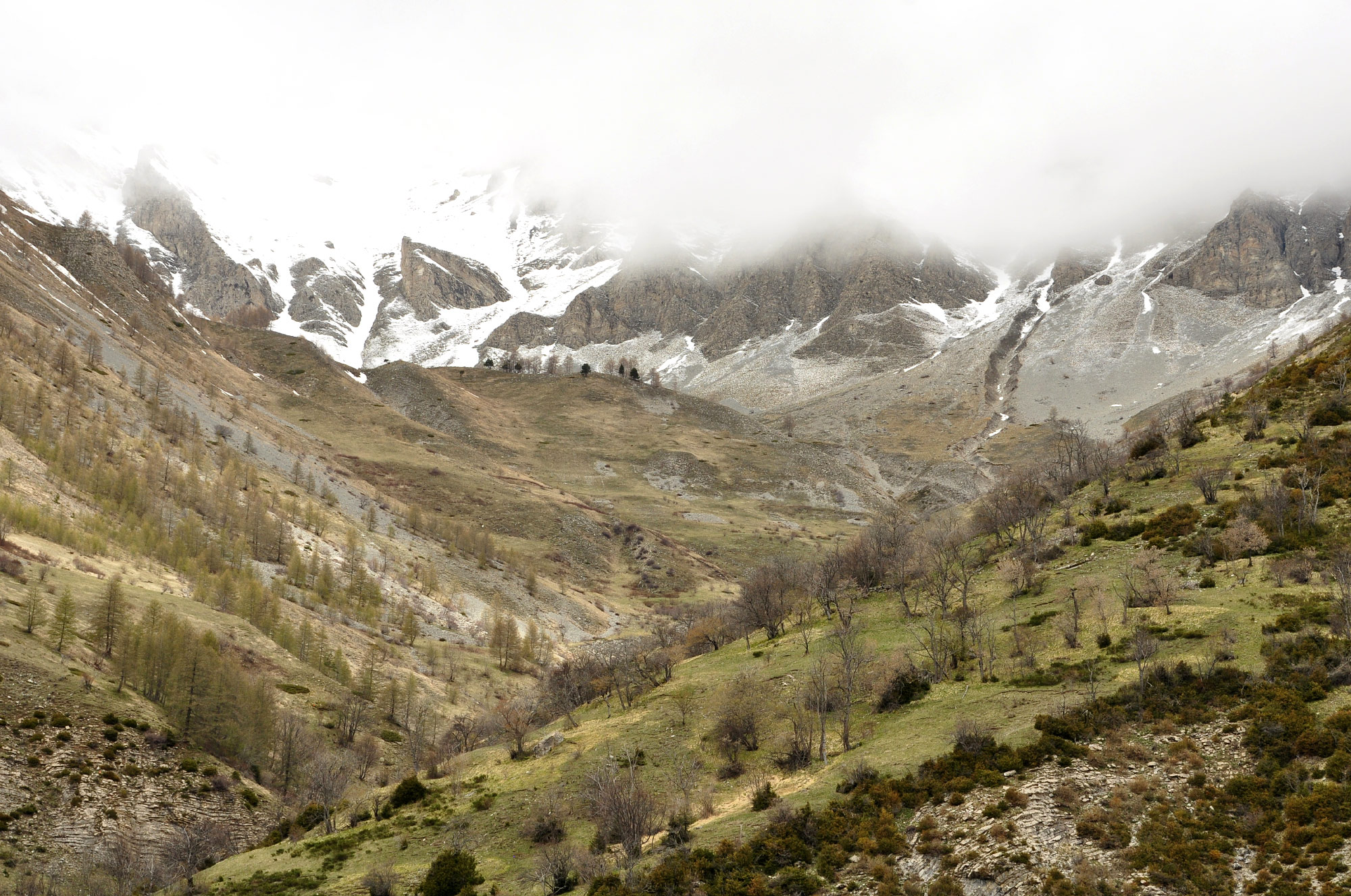 Col de la Cayolle